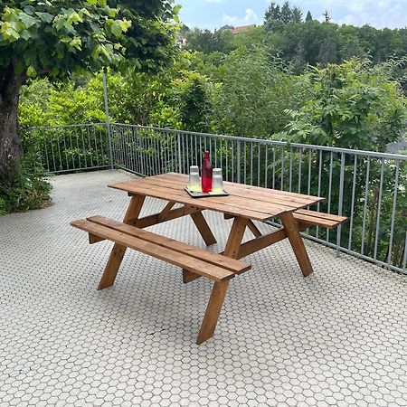 Paisible Eden Standing Terrasse - Magnifique Vue - Esprit Nature En Pleine Ville Tulle Extérieur photo