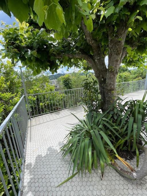 Paisible Eden Standing Terrasse - Magnifique Vue - Esprit Nature En Pleine Ville Tulle Extérieur photo