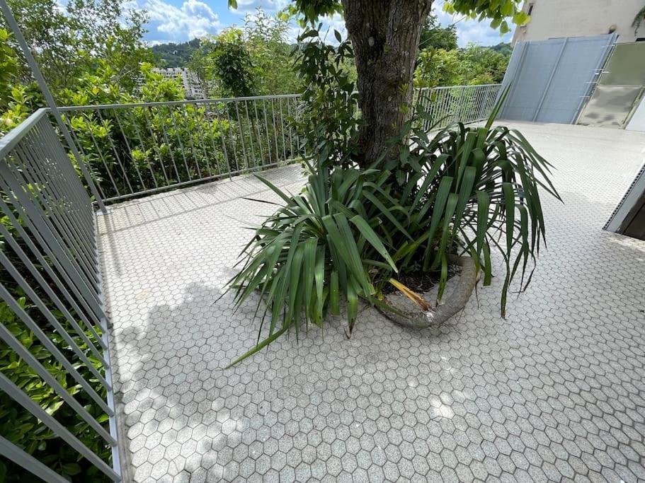 Paisible Eden Standing Terrasse - Magnifique Vue - Esprit Nature En Pleine Ville Tulle Extérieur photo
